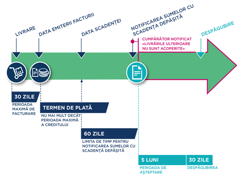 Ce sa faca IMM-urile pentru rezilienta afacerii in mijlocul incertitudinii amplificate de razboiul comercial si geopolitic?